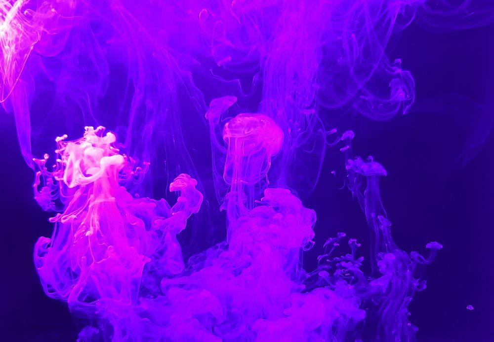 Photograph by Дарья Бобылева