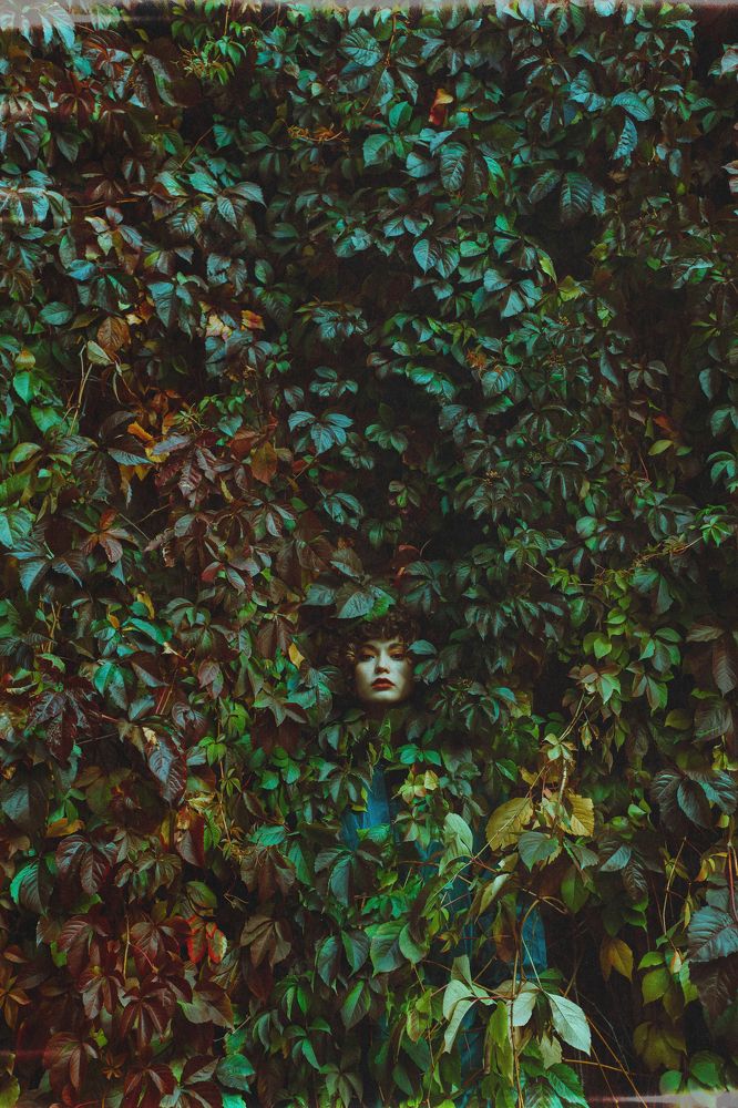 Photograph by Ольга