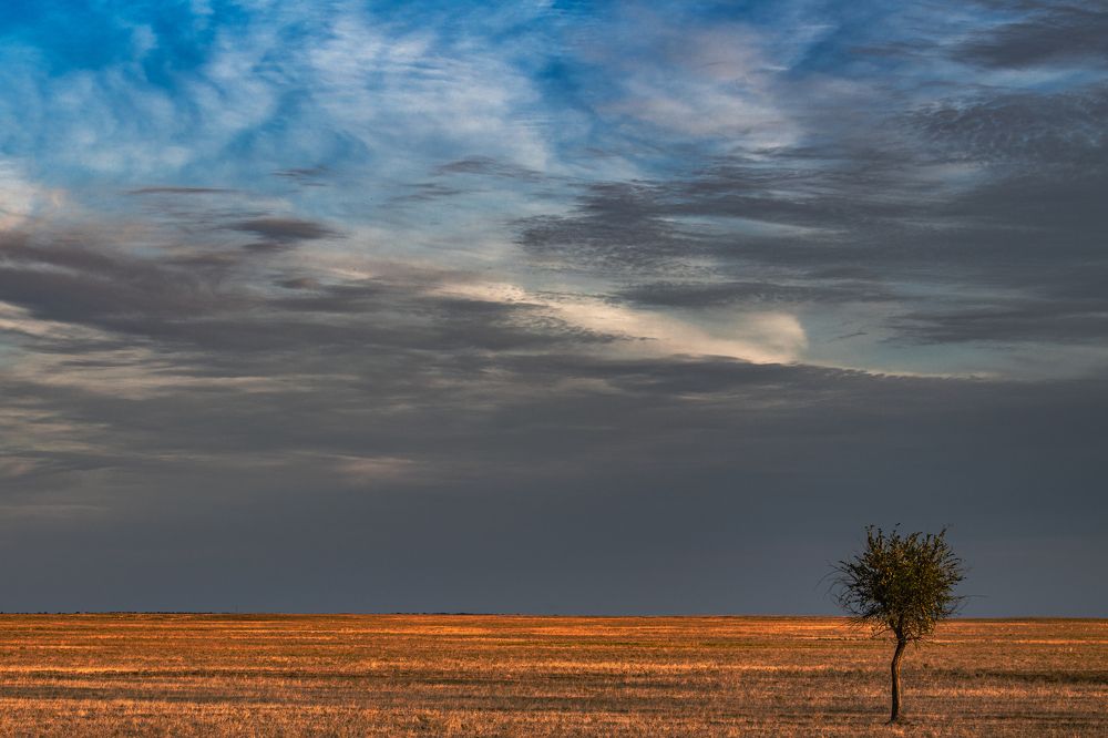 Photograph by Олег Корешонков