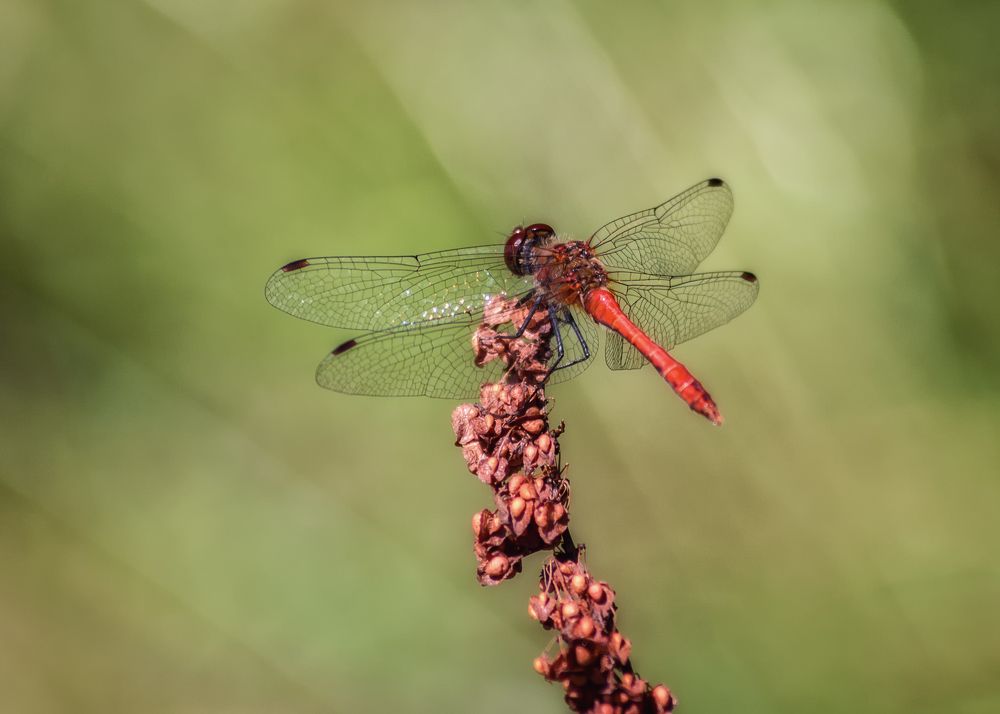 Photograph by Сергей Дишук