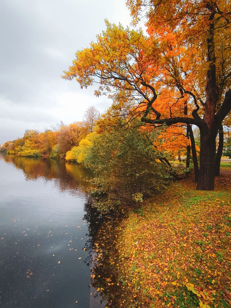 Территория осени.