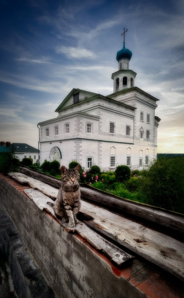 Photograph by Светлана Перминова