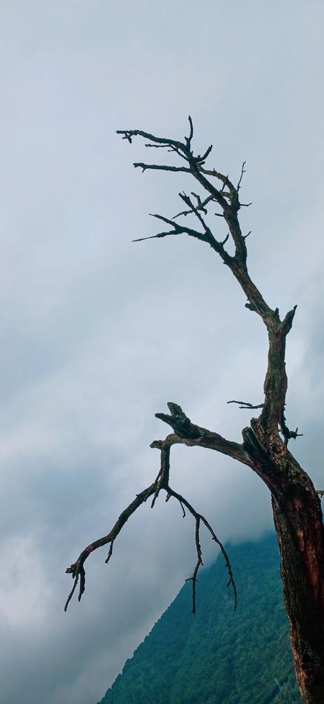 Фотография автора Валерия