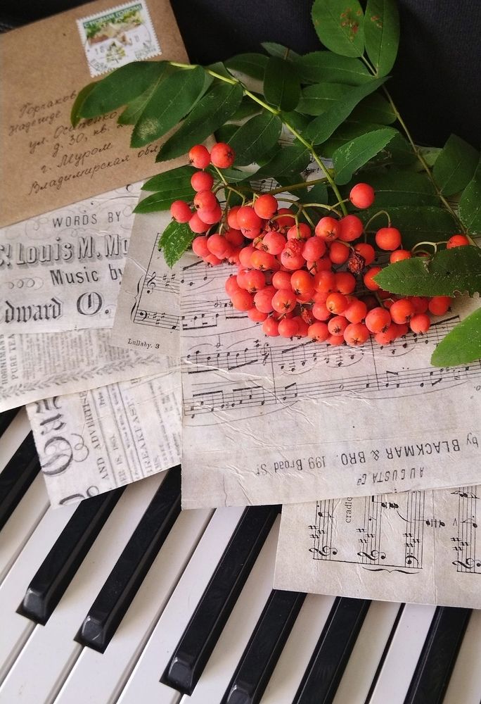 Photograph by Надежда Горчакова