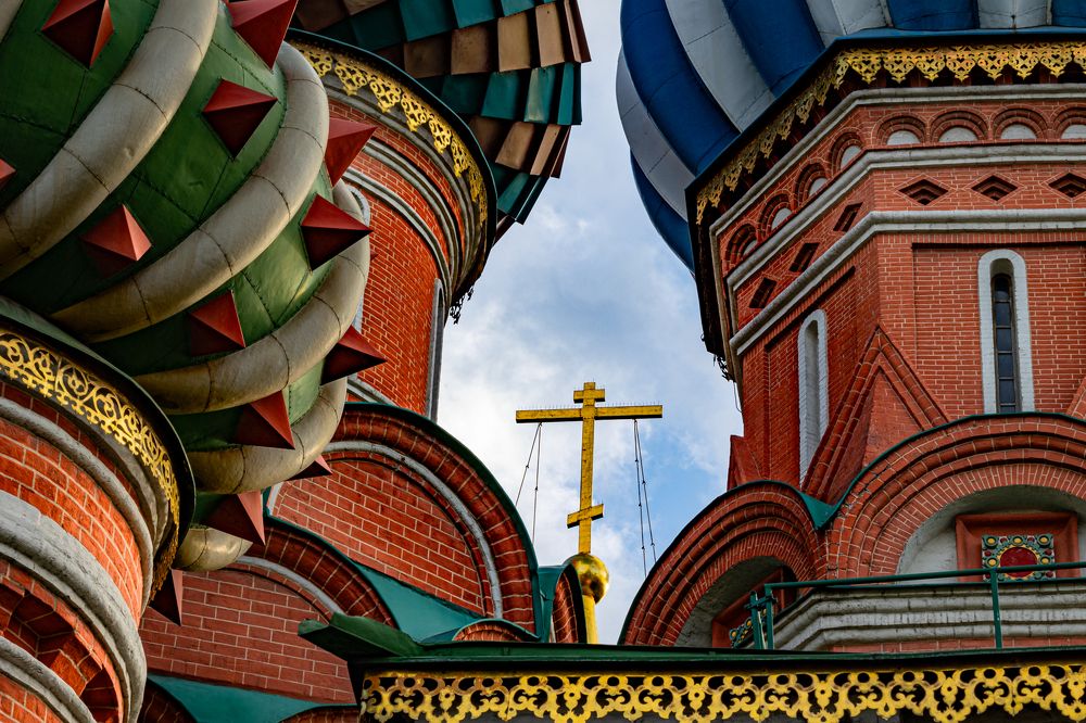 Фотография автора Елена Кошкина