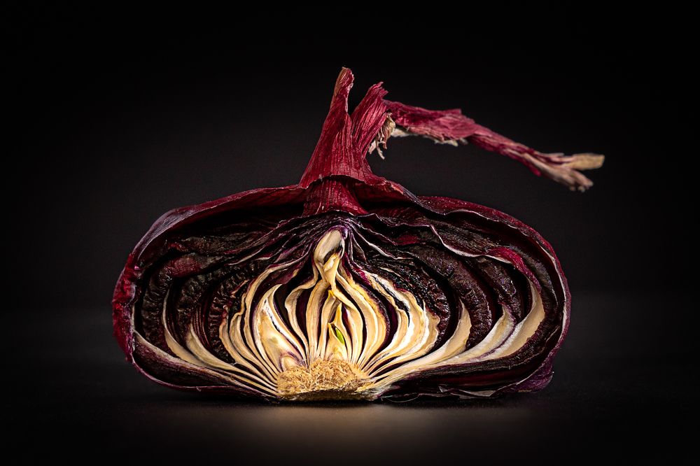 Фотография автора Елена Кошкина