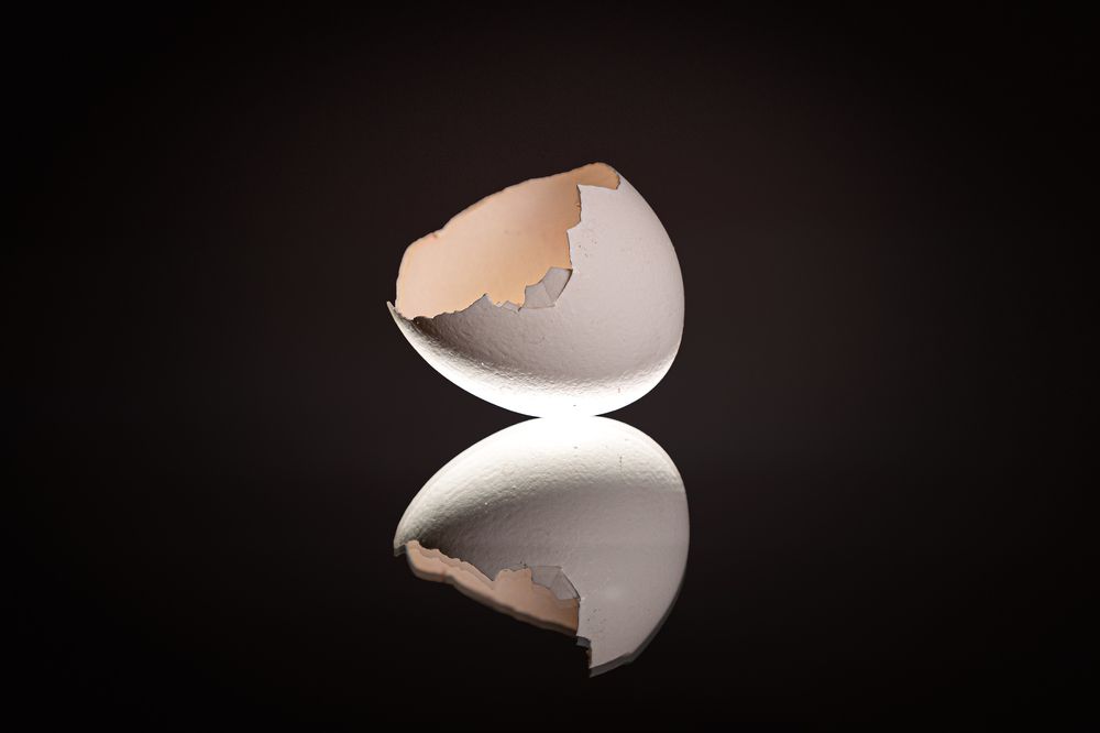 Фотография автора Елена Кошкина