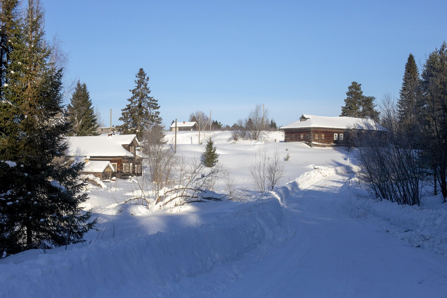 Photo #10342546