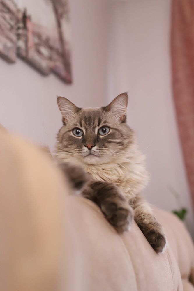 Photograph by Юлия Соколова