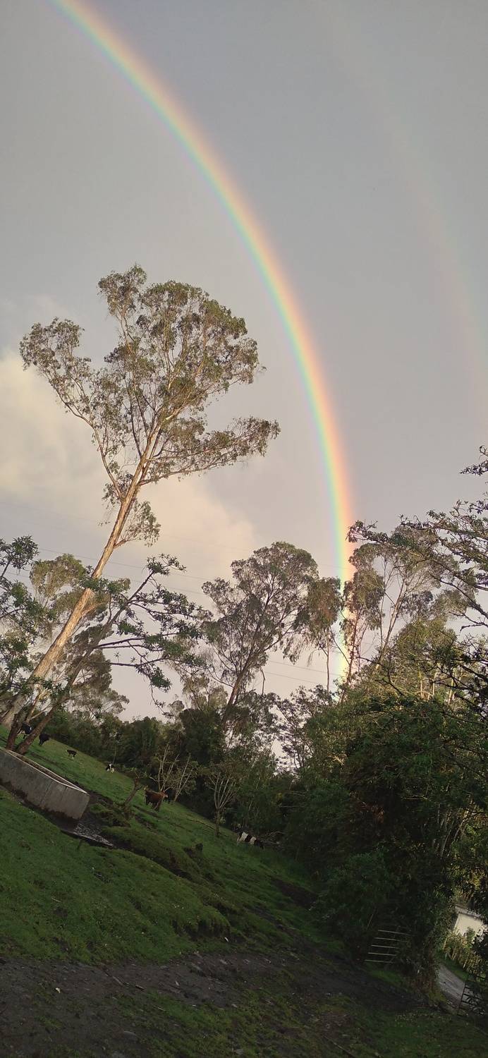Photo #10342594