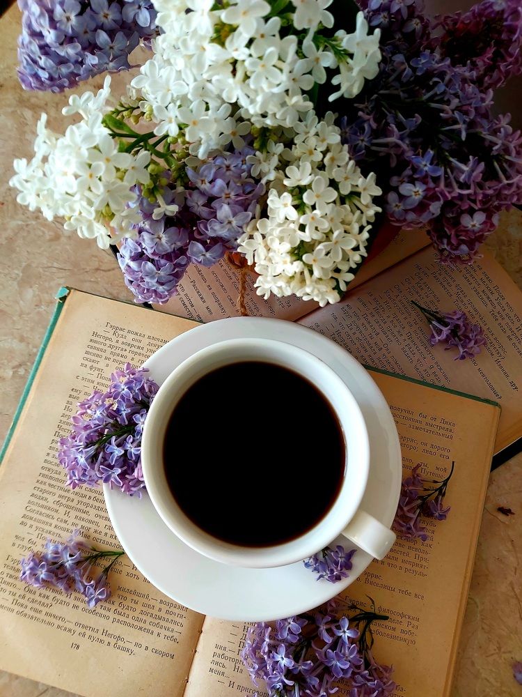 Photograph by Алена Ходатович