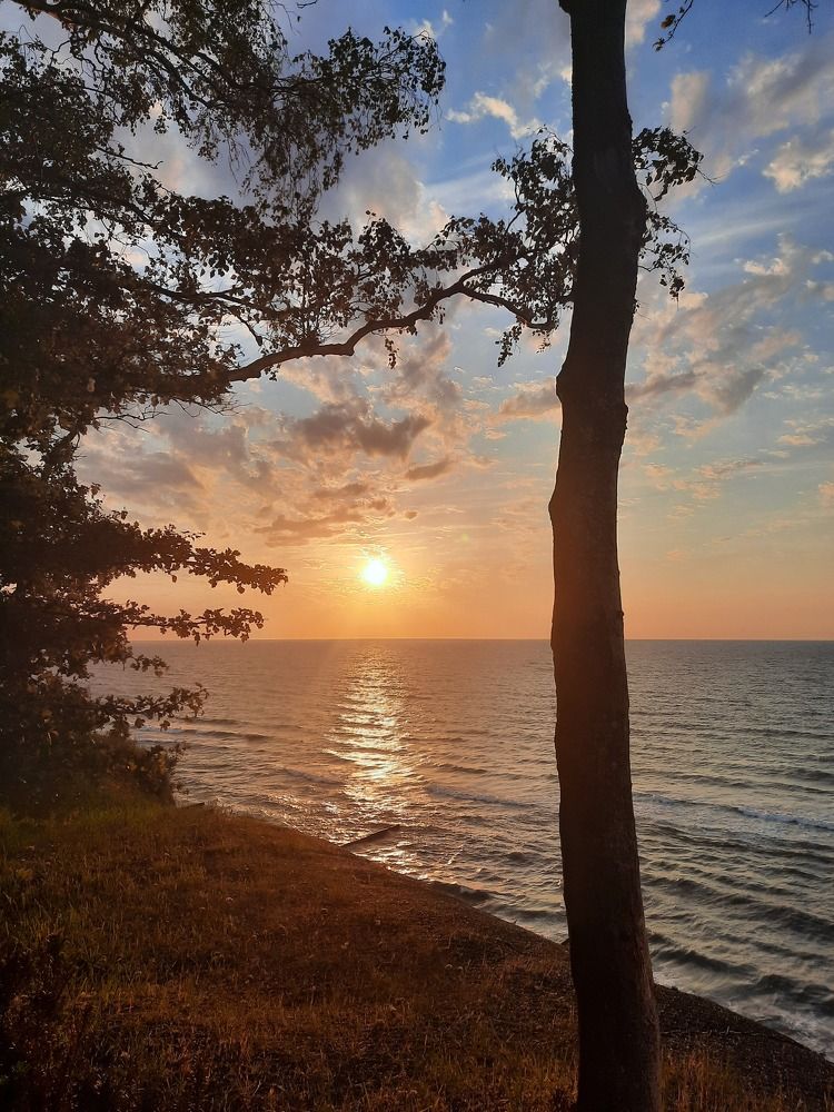 Photograph by Светлана Боровая