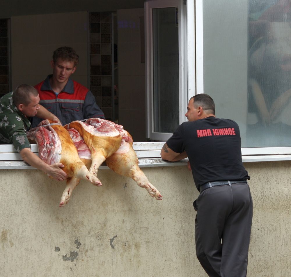 Photograph by Сергей Христинич