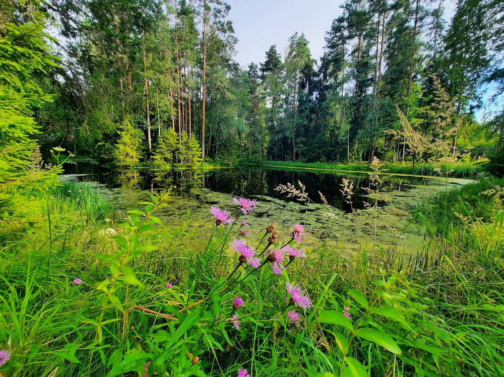 Photograph by Светлана Боровая