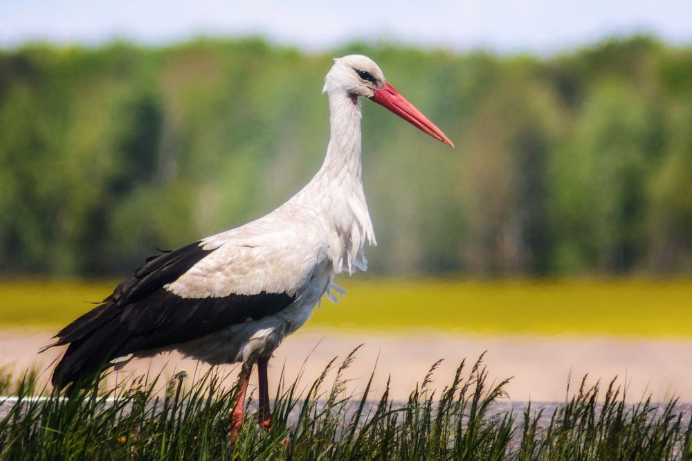 Photograph by Сергей Дишук