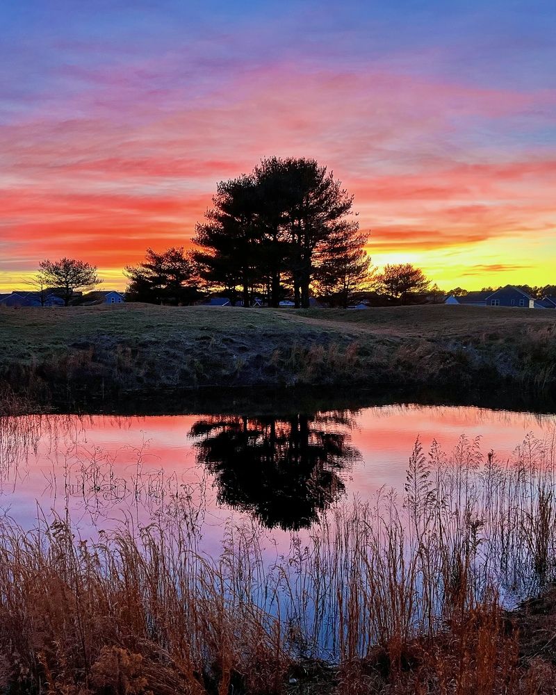 Фотография автора Veera Holdai