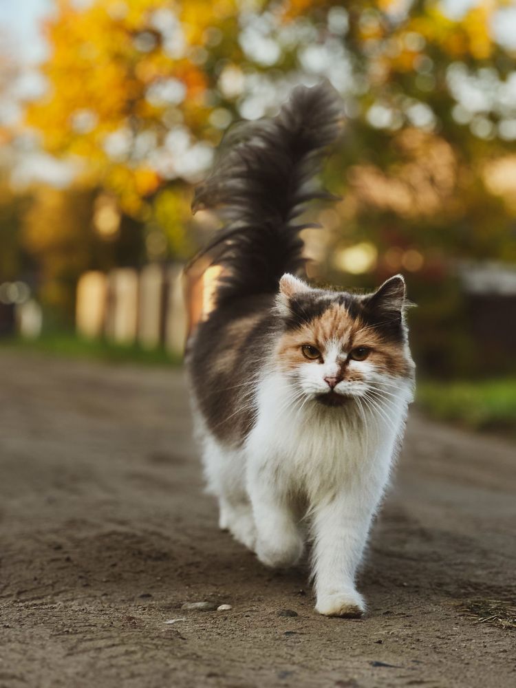 Photograph by Анна