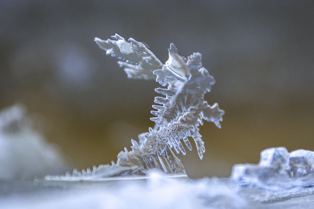 Photograph by Андрей