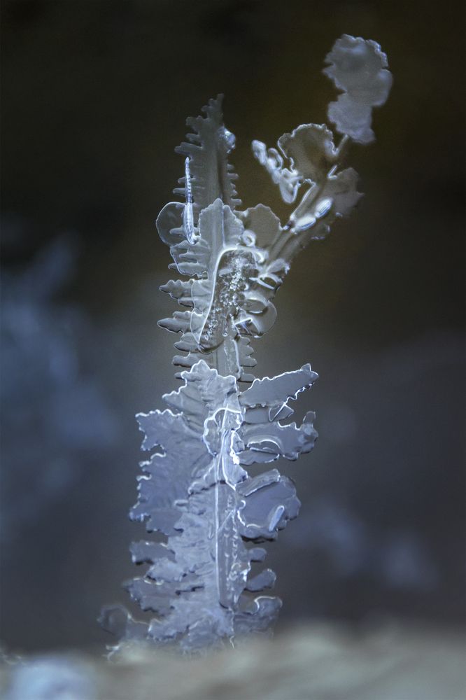 Photograph by Андрей