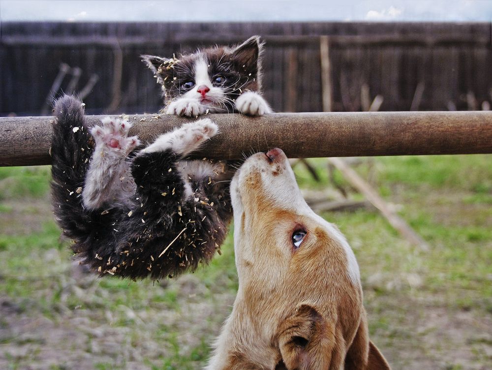 Photograph by Аркадова Елена