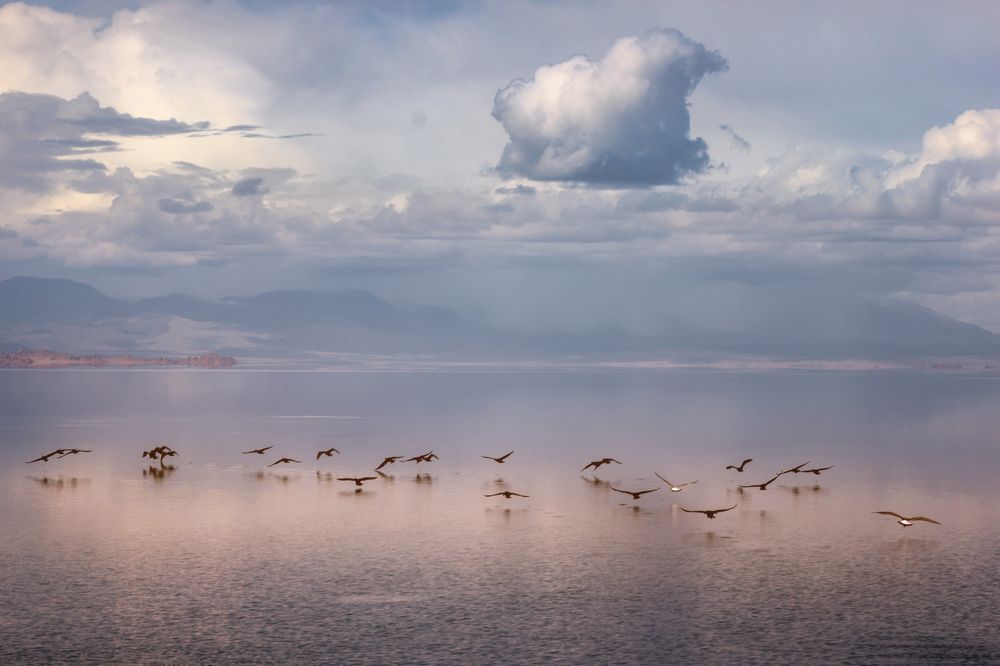 Фотография автора Мария Рохмистрова