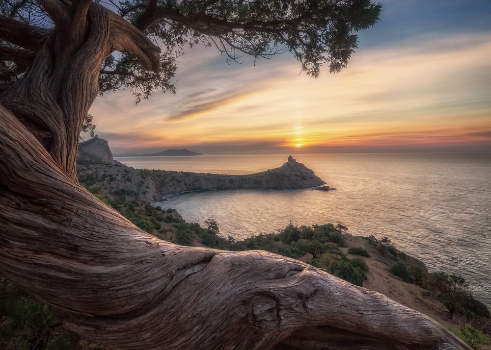 Photograph by Дмитренко Екатерина