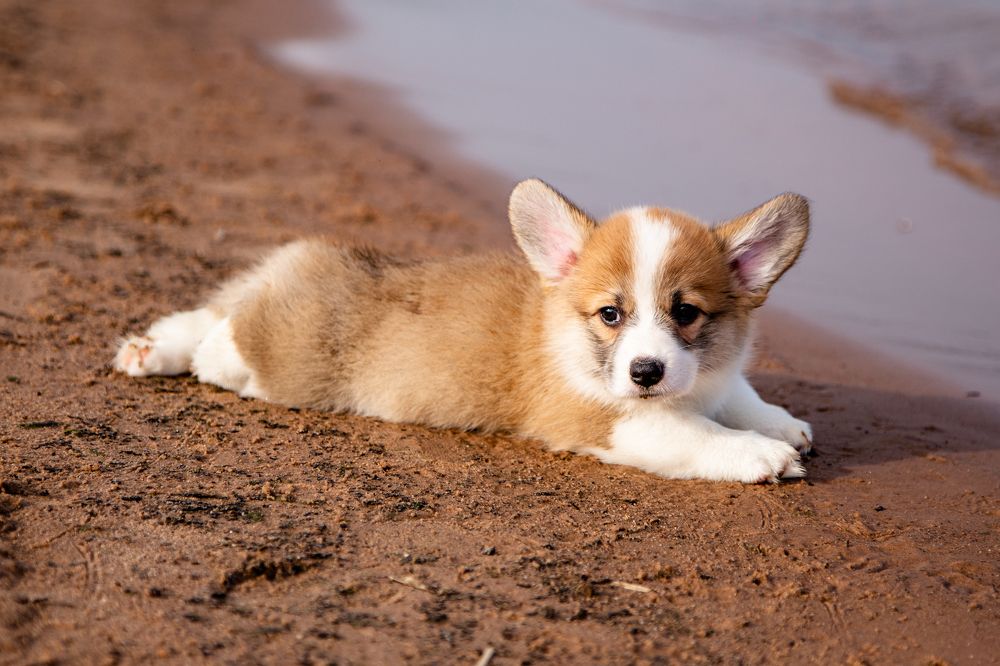 Фотография автора Станислава Гордеева