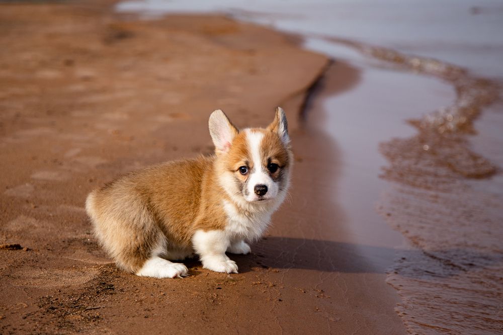 Photograph by Станислава Гордеева