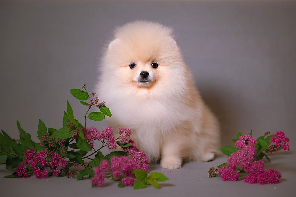 Photograph by Анастасия Камалова