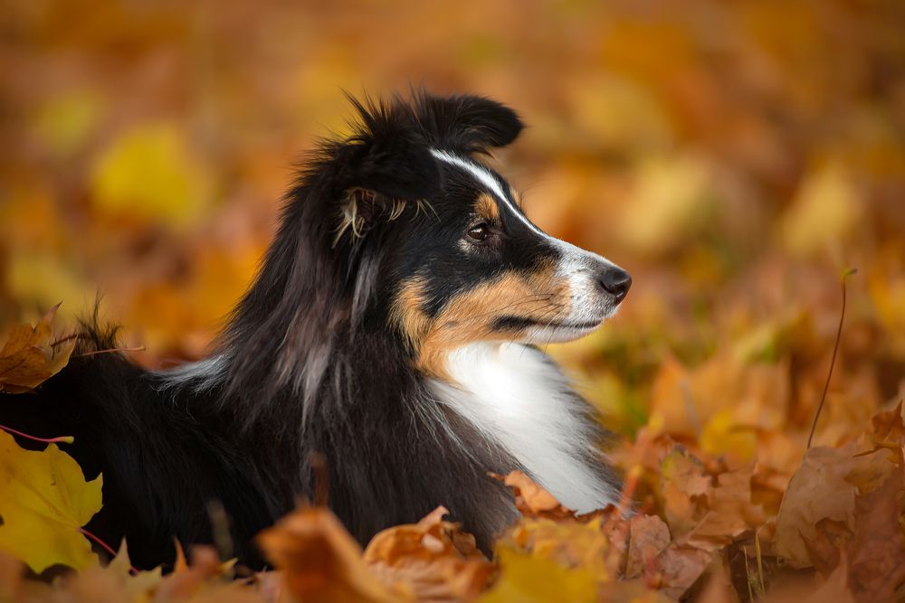 Photograph by Анастасия Камалова