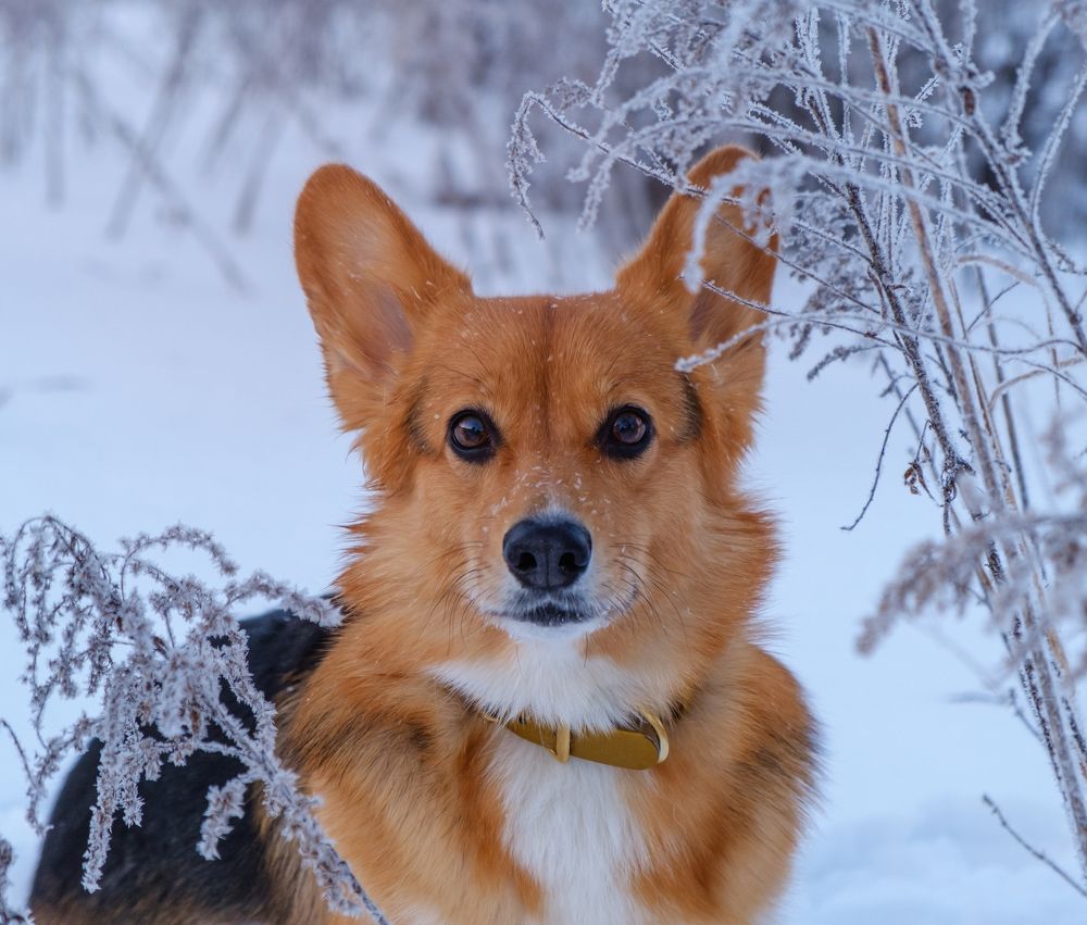 Photograph by Валерия Дурнева