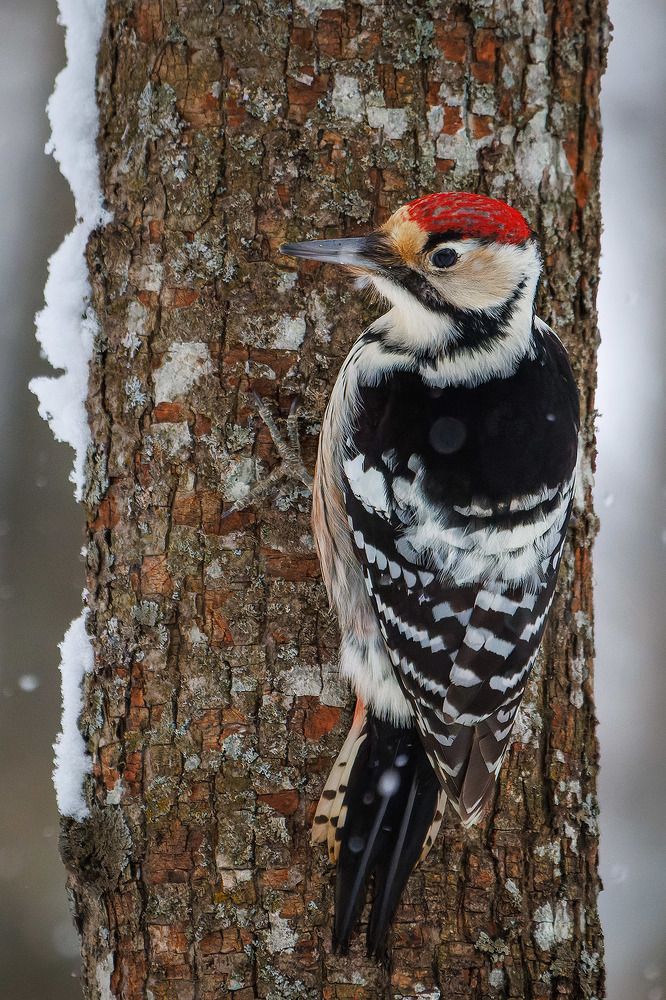 Photograph by Вячеслав Орос