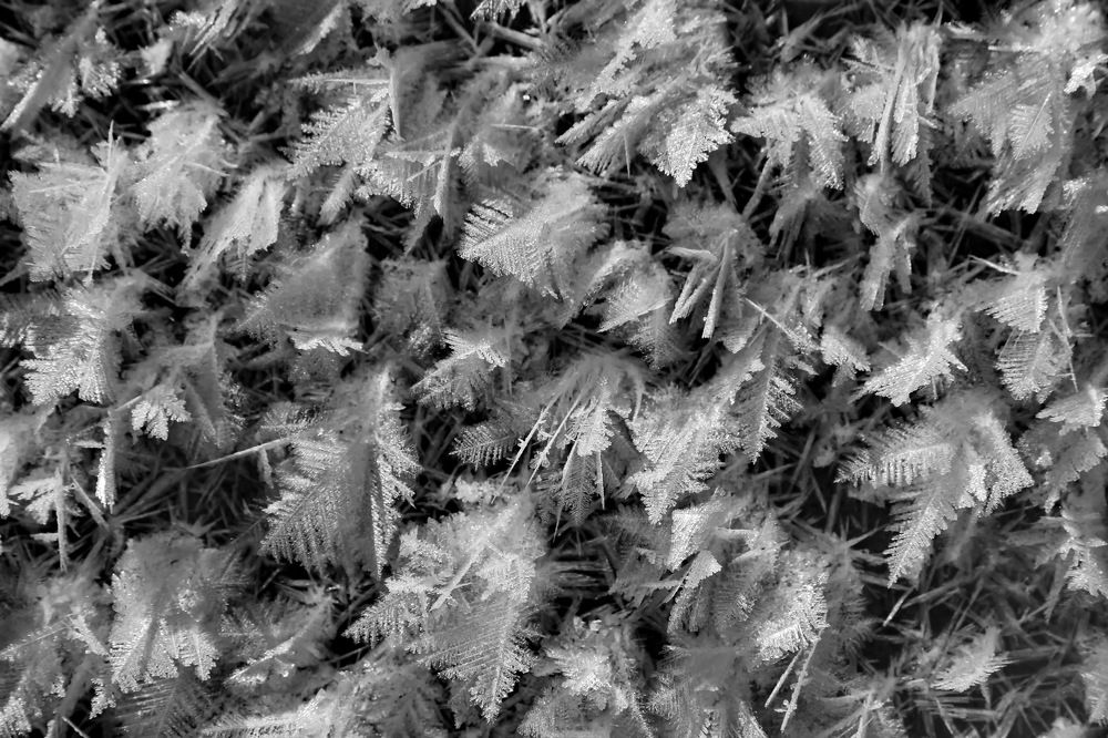 Photograph by Михаил Свиденцов