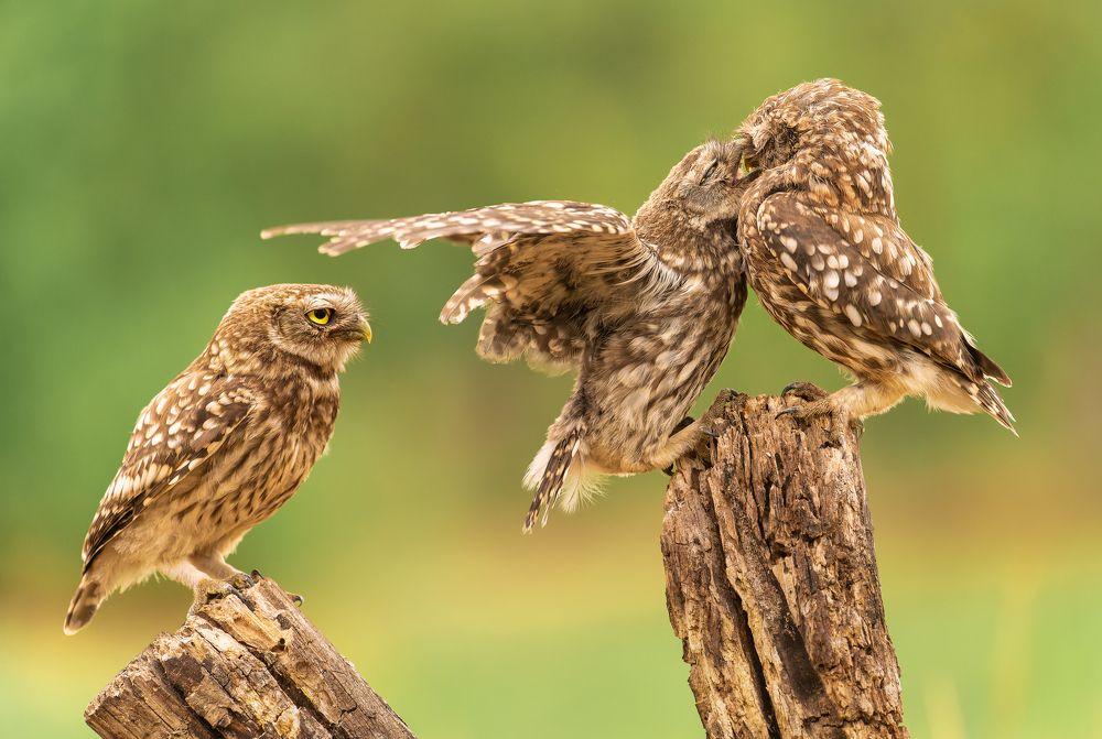 Photograph by Tímea Ambrus