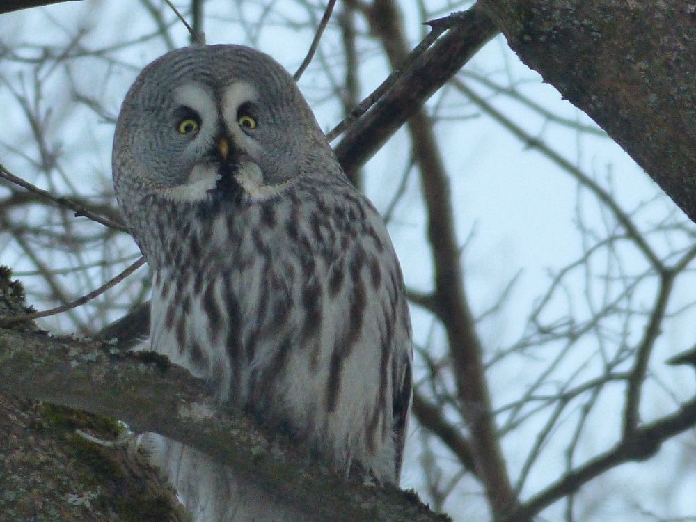 Photograph by Георгий Салюков