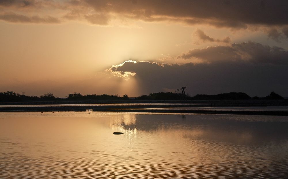 Фотография автора Jose Otero