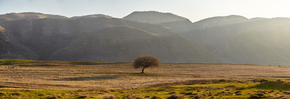 Photograph by Sal Haji