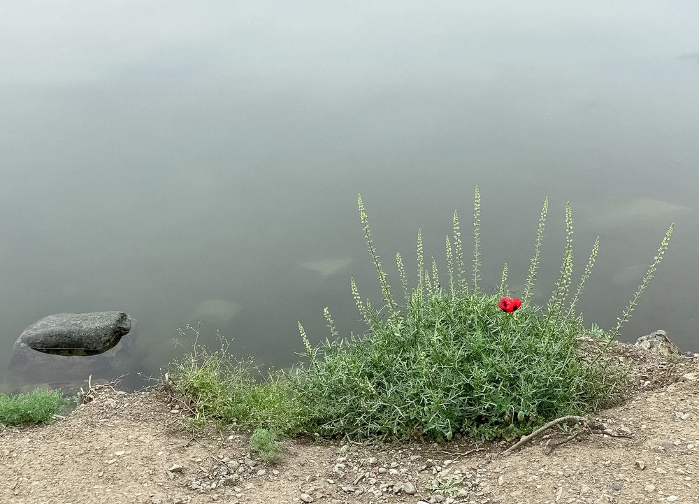 Photograph by Olya Kozlova