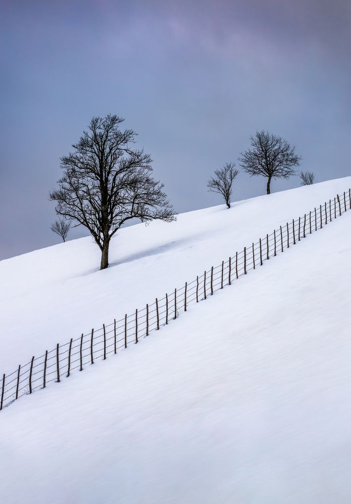 Photograph by Demir Pepic