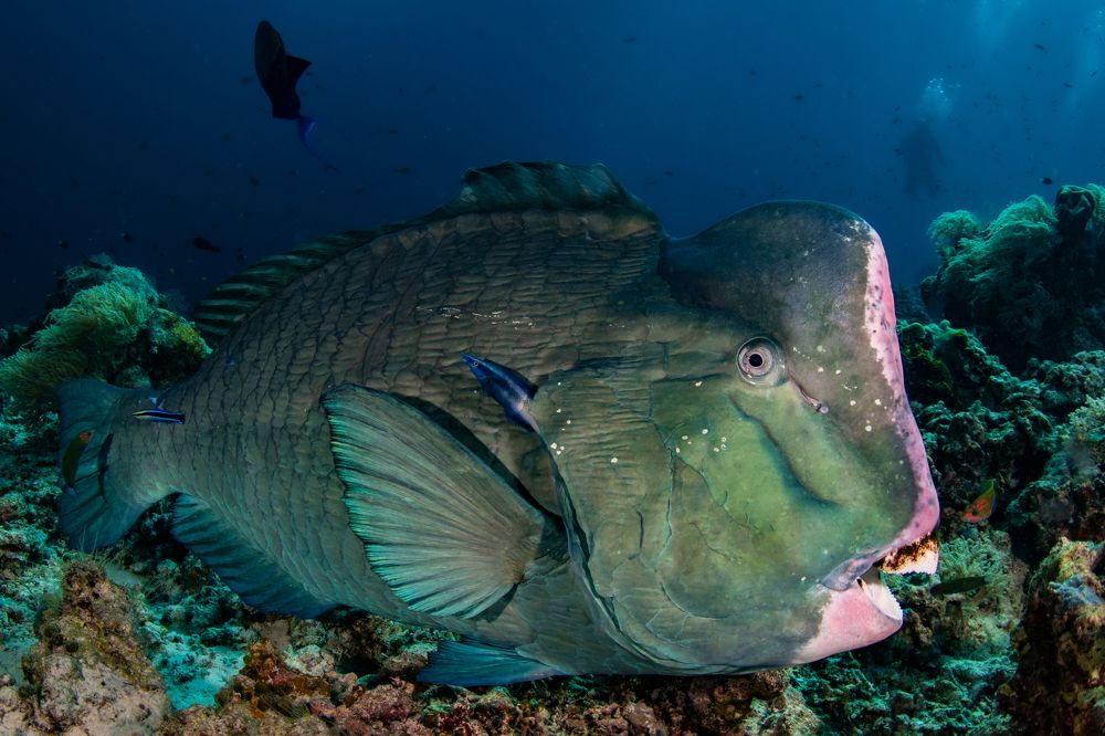 Photograph by Carlos Eduardo Barreto Pinheiro