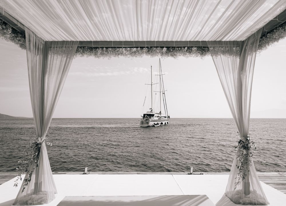 Фотография автора Nima Amanat