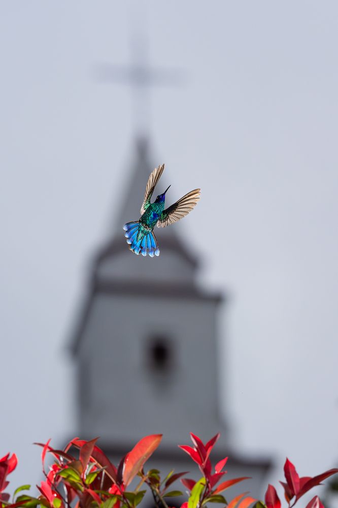 Photograph by Kevin Molano Ph