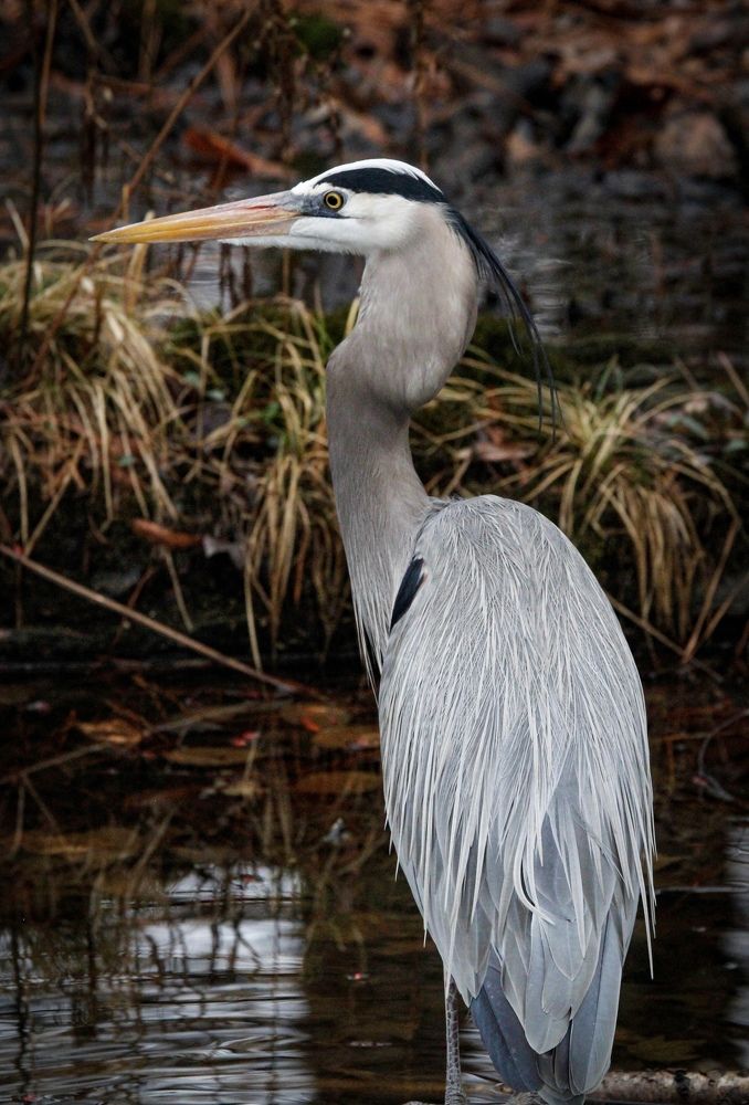 Photograph by Karen Ford