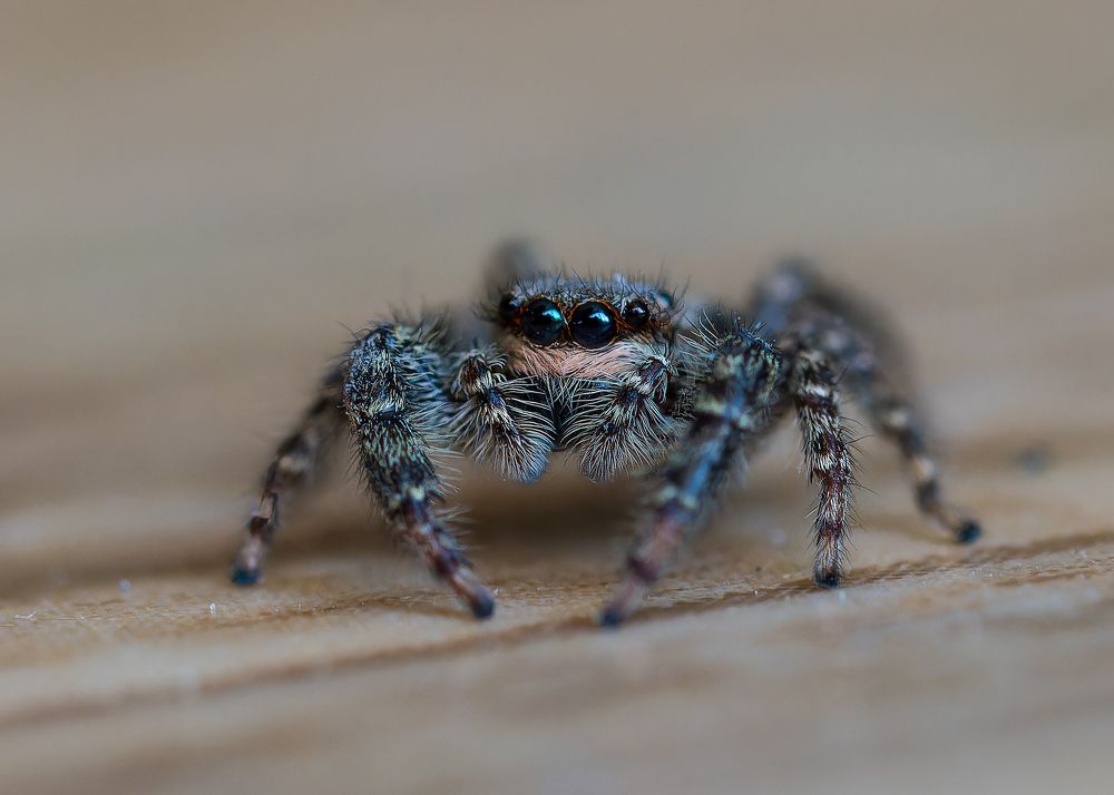 Photograph by Wendy Vanhoudt