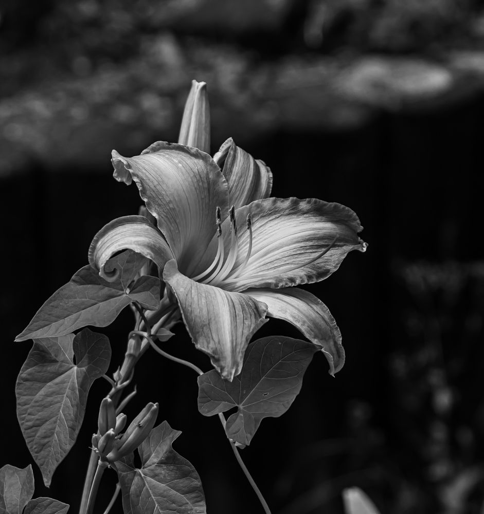 Photograph by Vitalii Kaznin