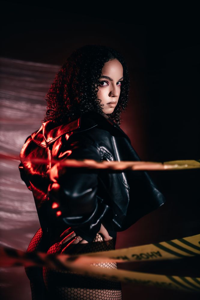 Project Dangerous Zone