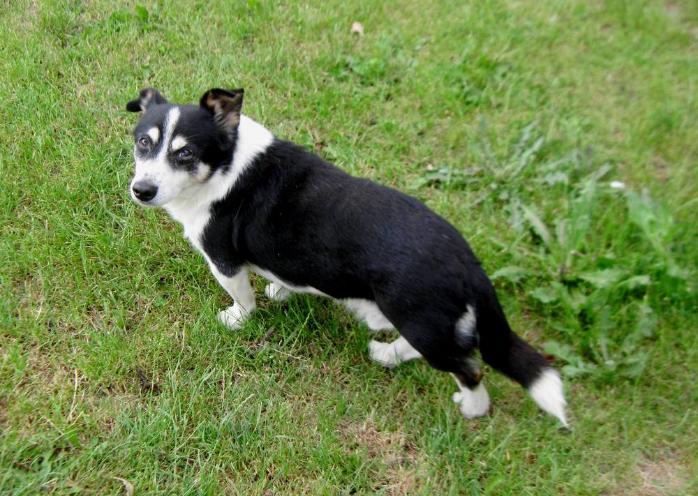 Photograph by Viktoriia Rusanova