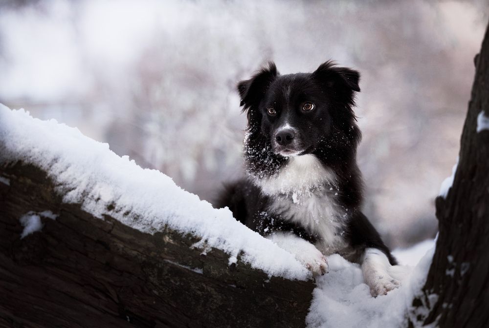 Photograph by Monika Maciejewska