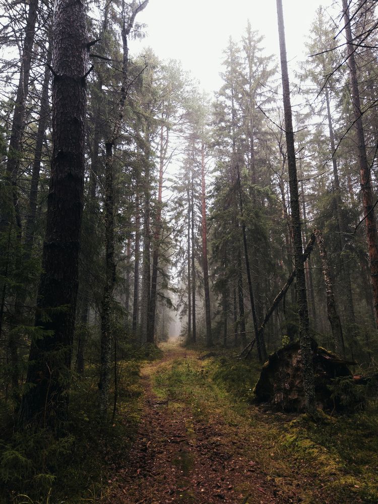 Photograph by Сергей