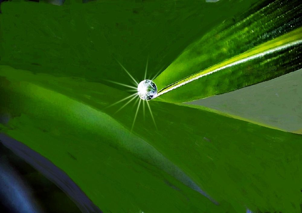 Концептуальная фотография